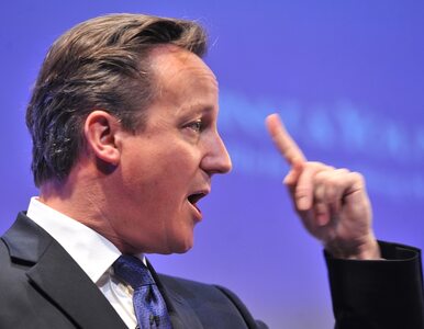 Miniatura: Cameron chce reformować UE. Przedstawia...