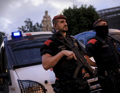 Miniatura: Zamieszki w Hiszpanii. Policjanci...