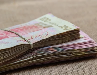 Miniatura: NBP podał dane dotyczące wymiany hrywien...