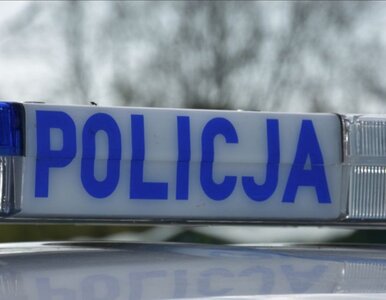 Miniatura: O zaginięciu 11-latki mówiła cała Polska....