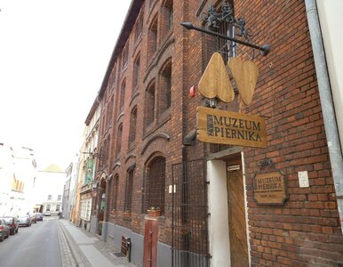 Miniatura: Rozpoznaj polskie miasto po jednej...