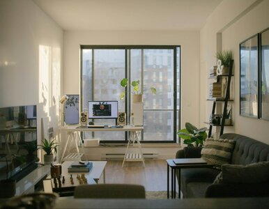 Miniatura: Cudzoziemcy wiedzą jak wykorzystać system....