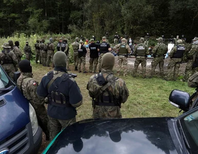 Miniatura: Polska robi dokładnie to, czego chce...