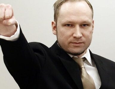 Miniatura: Anders Breivik idzie do Strasbourga. Za......