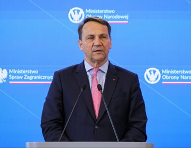 Miniatura: Sikorski po spotkaniu z szefem MSZ...
