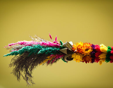 Miniatura: Dzisiaj Niedziela Palmowa