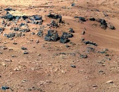 Miniatura: Na Marsie jest więcej lodowców. Wcześniej...