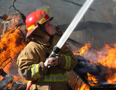 Miniatura: Strażacy gasili pożar, gdy... spłonął wóz...