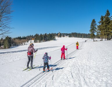 Miniatura: Kary dla turystów w Czechach. Nawet 30...