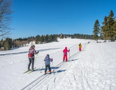 Miniatura: Kary dla turystów w Czechach. Nawet 30...