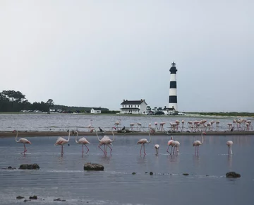 Fotomontaże autorstwa Alexa Lexa 