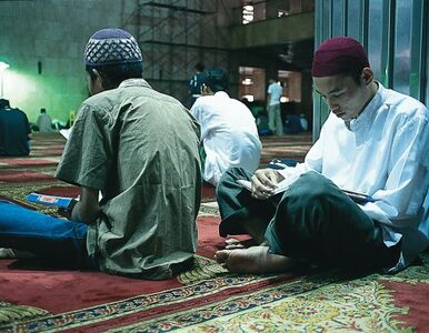 Miniatura: Berlin: muzułmanin nie może modlić się w...