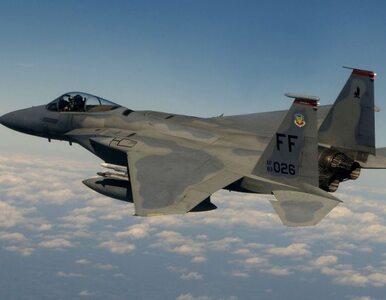 Miniatura: W Anglii rozbił się amerykański F-15