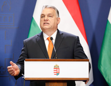 Miniatura: Orban nie daje szans Ukraińcom. Wzywa do...