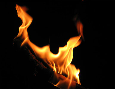 Miniatura: Ogień w ośrodku wypoczynkowym nad Soliną....