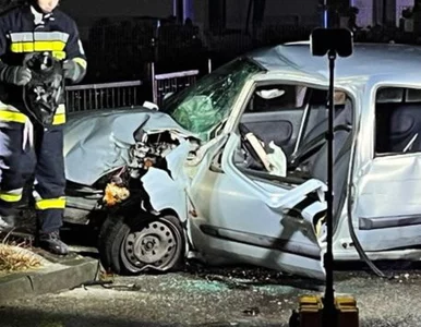 Miniatura: Kolejny tragiczny wypadek w...