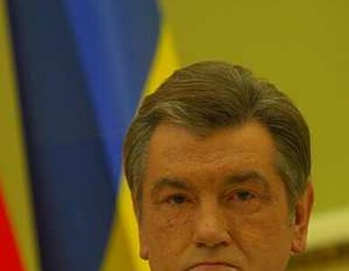 Miniatura: Juszczenko bez szans w wyborach prezydenckich