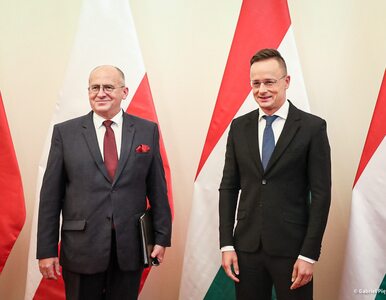 Miniatura: Polska i Węgry stworzą instytut, który...