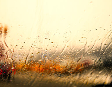 Miniatura: Ulewne deszcze na Śląsku. Drogi są zalane