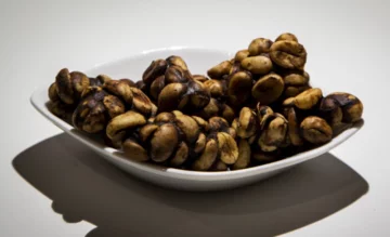 Kopi luwak - ziarna kawy wydobywane są z odchodów zwierzęcia nazywanego luwak 