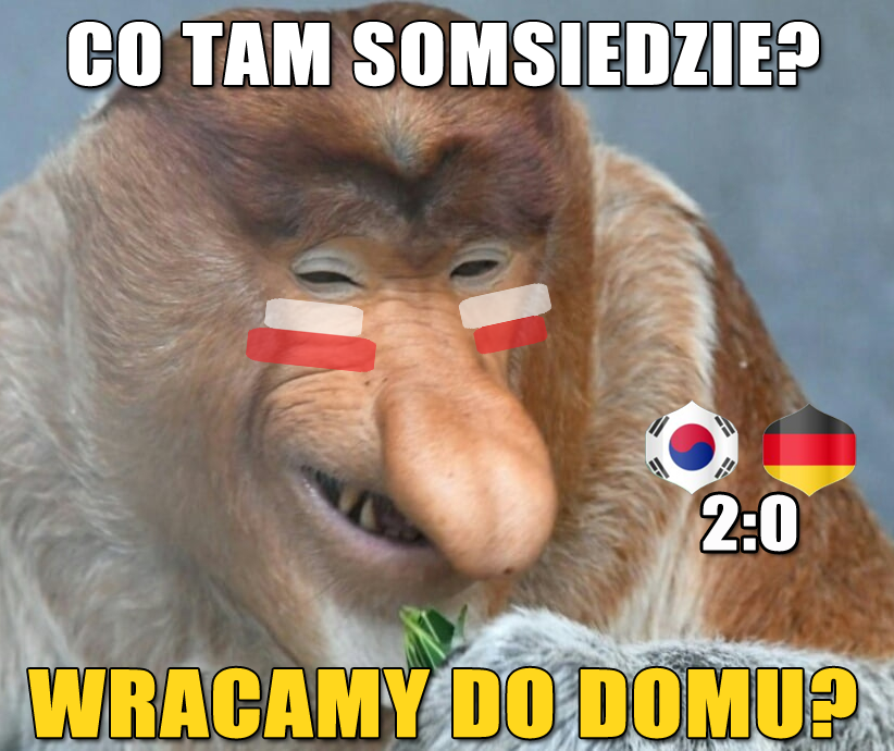 Mem po meczu Korea Południowa – Niemcy 