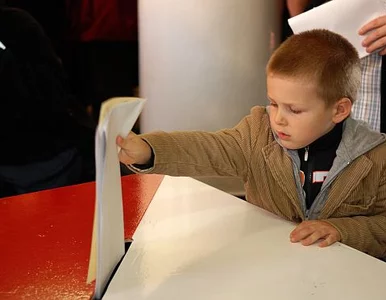 Miniatura: Rzecznik rządu: PO zbierała podpisy ws....