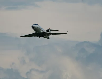 Miniatura: Naruszenia przestrzeni powietrznej. USA...