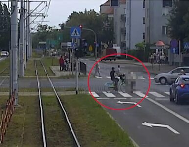Miniatura: Toruńska policja zatrzymała dwóch...
