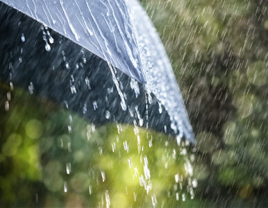 Miniatura: Wtorek z przelotnym deszczem prawie w...