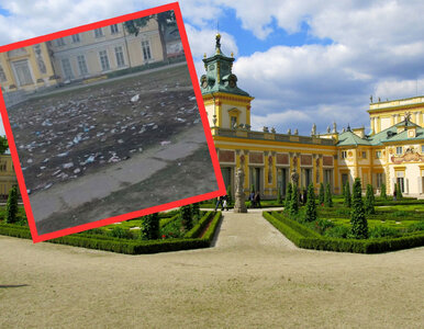 Miniatura: „Polska Ibiza” pod Pałacem w Wilanowie....