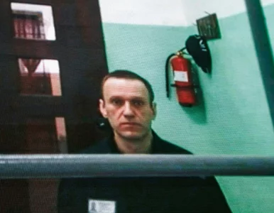 Miniatura: Gdzie jest Nawalny? Dmitrij Pieskow nabrał...