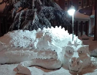 Miniatura: To nie są zwykłe bałwany. Niesamowite...