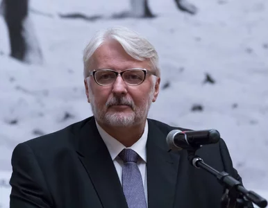 Miniatura: Waszczykowski komentuje słowa Macrona o...