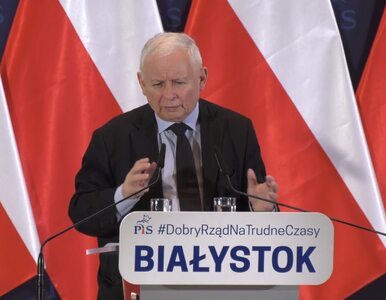 Miniatura: Kaczyński zapowiedział dalsze reformy...