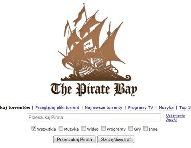 Miniatura: Szwedzi chcą zablokować The Pirate Bay