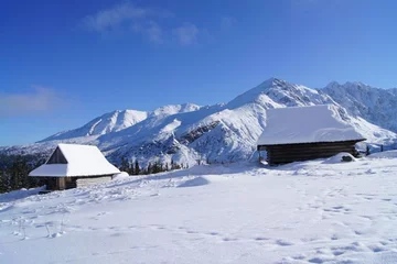 9. Hala Gąsienicowa (fot. Wanda Modzelewska)