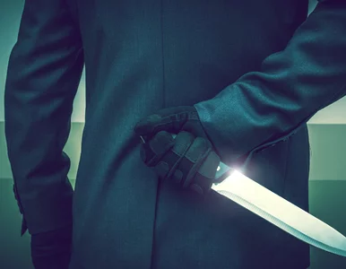 Miniatura: Autor kryminałów aresztowany za poczwórne...