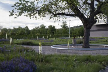 Naturalistyczny ogród Pieta Oudolfa na Vitra Campus w Weil am Rhein – przykład harmonii między dzikością a precyzyjnym projektowaniem 