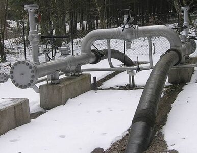 Miniatura: Ukraina wznowi dostawy gazu do Polski
