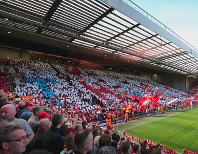 Miniatura: Kluby Premier League wydały 1,2 miliarda...