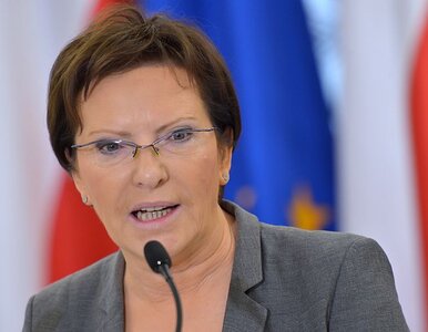 Miniatura: Kopacz premierem? "Ewa się już oświadczyła"