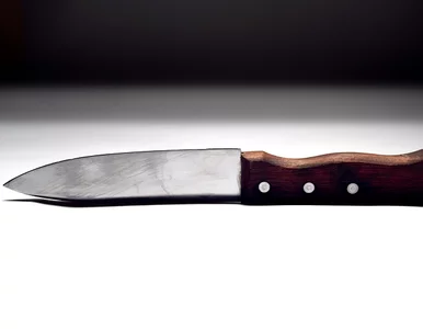 Miniatura: Zadźgała swoje dzieci, bo nie chciała, by...