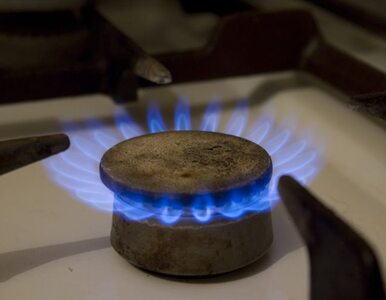 Miniatura: Ukraińcy płacą krocie za rosyjski gaz. I...