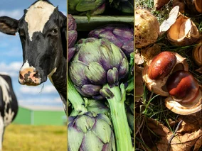 Miniatura: QUIZ z wiedzy ogólnej na literę „K”....