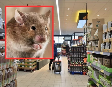 Miniatura: Niepokojące odkrycie w Biedronce. Po...