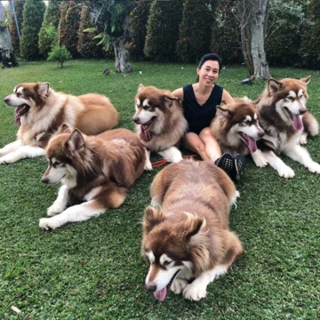 Właścicielka ze swoimi psami 