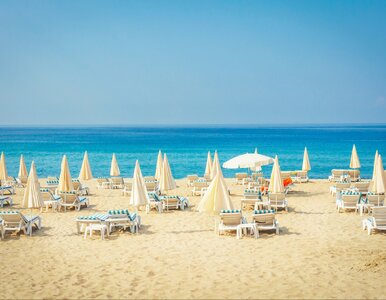 Miniatura: All inclusive za 889 zł. Już 6 grudnia...