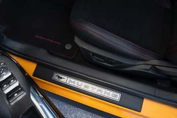 Ford Mustang California Special 