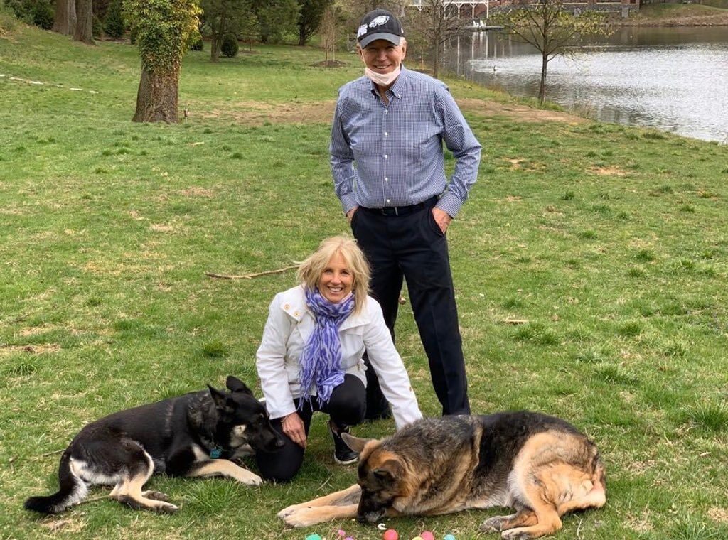 Joe i Jill Bidenowie oraz ich psy 