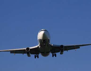 Miniatura: Linie lotnicze obniżają dopłatę paliwową